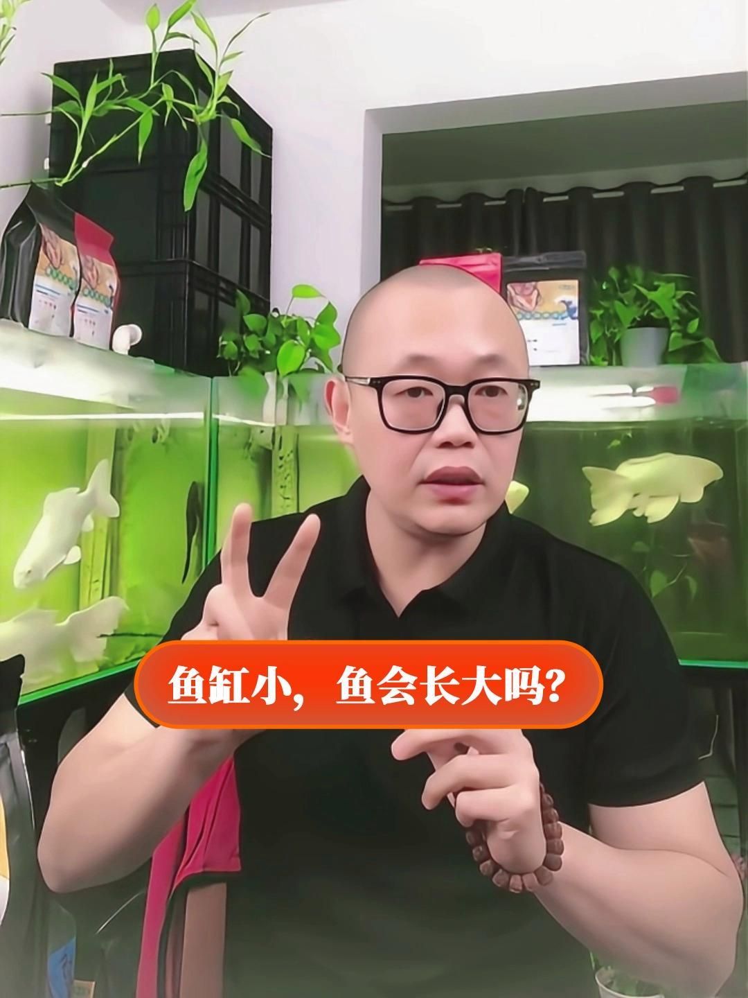 魚(yú)缸尺寸過(guò)小如何緩解，魚(yú)缸尺寸過(guò)小如何緩解？ 魚(yú)缸尺寸過(guò)小如何緩解，魚(yú)缸尺寸過(guò)小如何緩解？ 龍魚(yú)百科 第2張
