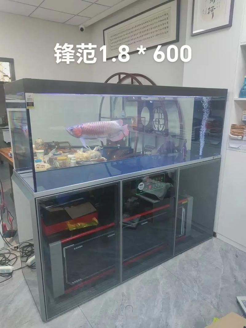 給我一些龍魚缸的實物圖片，龍魚缸實物圖片 給我一些龍魚缸的實物圖片，龍魚缸實物圖片 龍魚百科 第7張