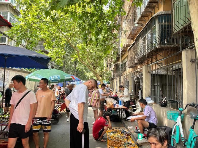 觀賞魚批發市場有哪些知名品種，西安觀賞魚批發市場