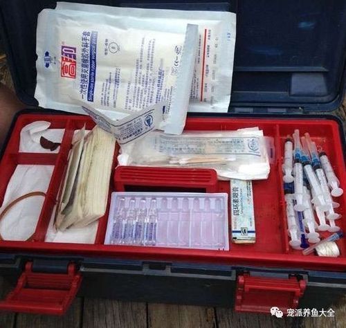 如何預(yù)防魚外傷感染 龍魚百科 第3張 如何預(yù)防魚外傷感染 如何預(yù)防魚外傷感染 龍魚百科 第3張