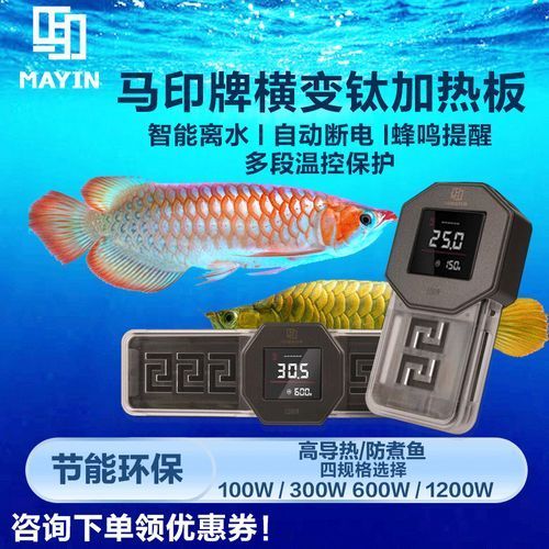 有哪些品牌加熱棒適合龍魚，龍魚加熱棒品牌加熱棒適合龍魚的特點及適用性分析 有哪些品牌加熱棒適合龍魚，龍魚加熱棒品牌加熱棒適合龍魚的特點及適用性分析 龍魚百科 第7張