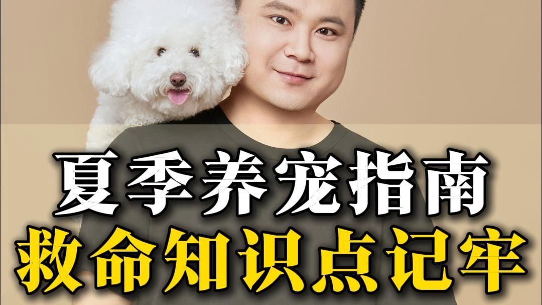 有哪些安全的寵物可以養，養寵物安全的寵物安全性寵物是首要考慮的因素是什么