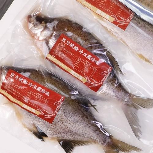 如何區分新疆雪龍魚和觀賞魚？，如何區分新疆雪龍魚與觀賞魚