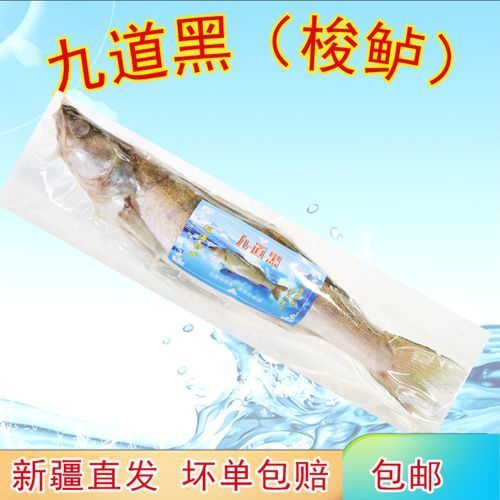 如何區分新疆雪龍魚和觀賞魚？，如何區分新疆雪龍魚與觀賞魚