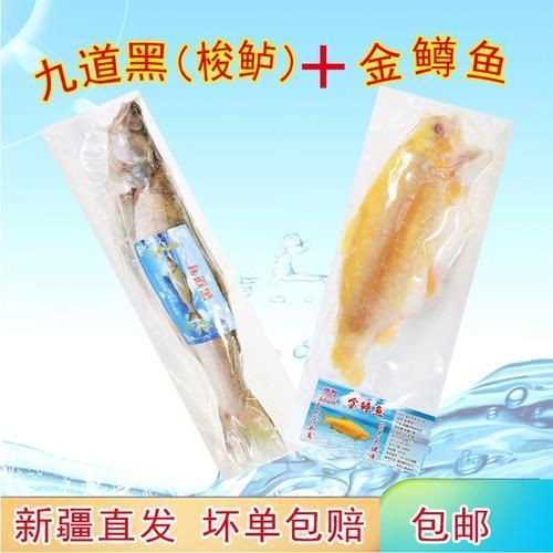 如何區分新疆雪龍魚和觀賞魚？，如何區分新疆雪龍魚與觀賞魚 如何區分新疆雪龍魚和觀賞魚？，如何區分新疆雪龍魚與觀賞魚 龍魚百科 第5張