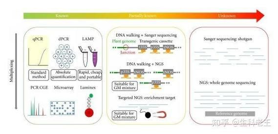 如何評估轉基因食品的安全性 如何評估轉基因食品的安全性 龍魚百科 第2張