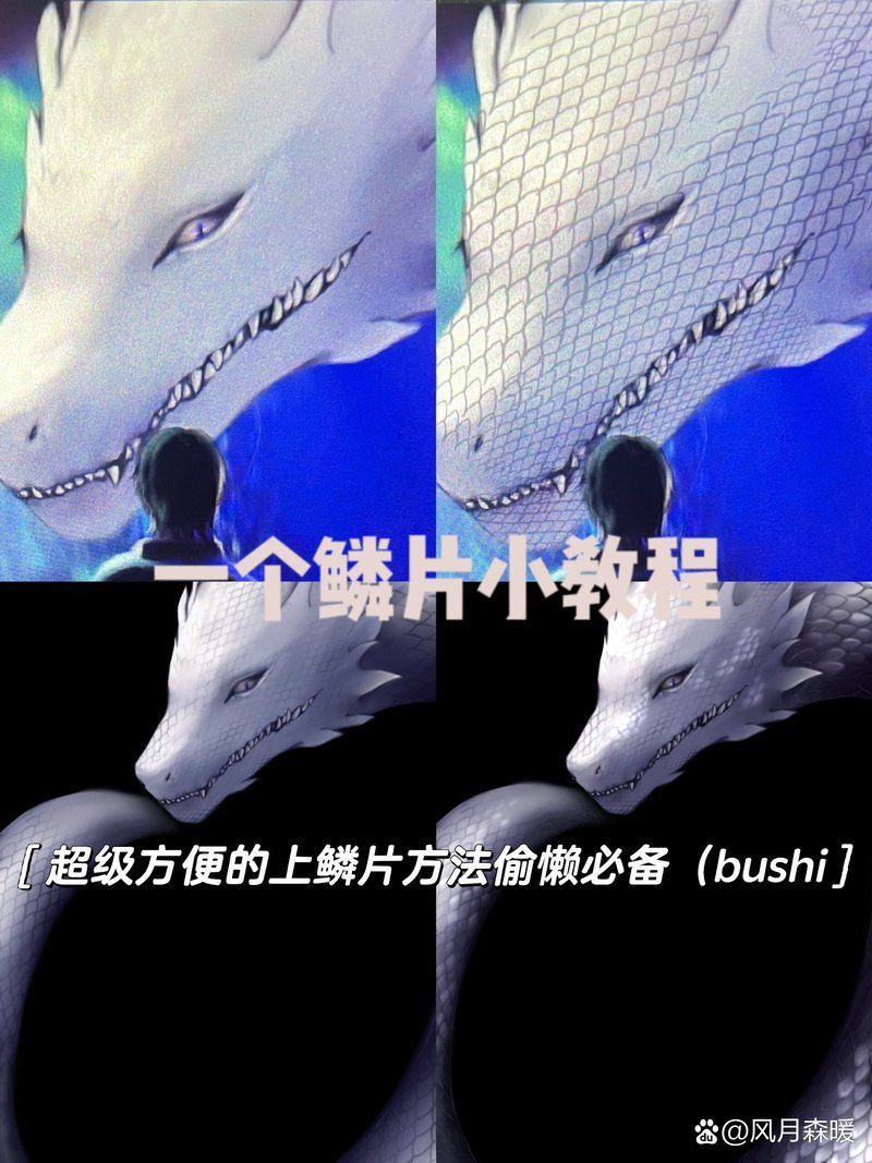 能否提供龍魚鱗片的繪畫視頻教程，-繪制龍魚鱗片繪制龍魚鱗片的繪畫教程 能否提供龍魚鱗片的繪畫視頻教程，-繪制龍魚鱗片繪制龍魚鱗片的繪畫教程 龍魚百科 第1張