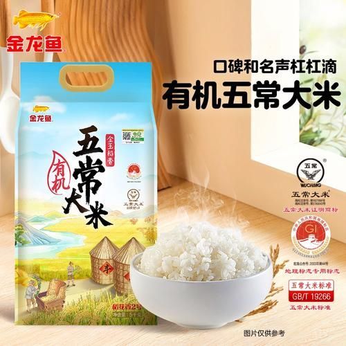 長壽花大米和金龍魚大米哪個更香？，長壽花大米和金龍魚大米哪個好？ 長壽花大米和金龍魚大米哪個更香？，長壽花大米和金龍魚大米哪個好？ 龍魚百科 第8張