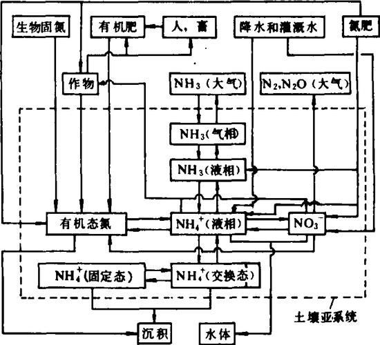 如何預防魚缸水細菌感染復發，如何預防魚缸水細菌感染 如何預防魚缸水細菌感染復發，如何預防魚缸水細菌感染 龍魚百科 第4張
