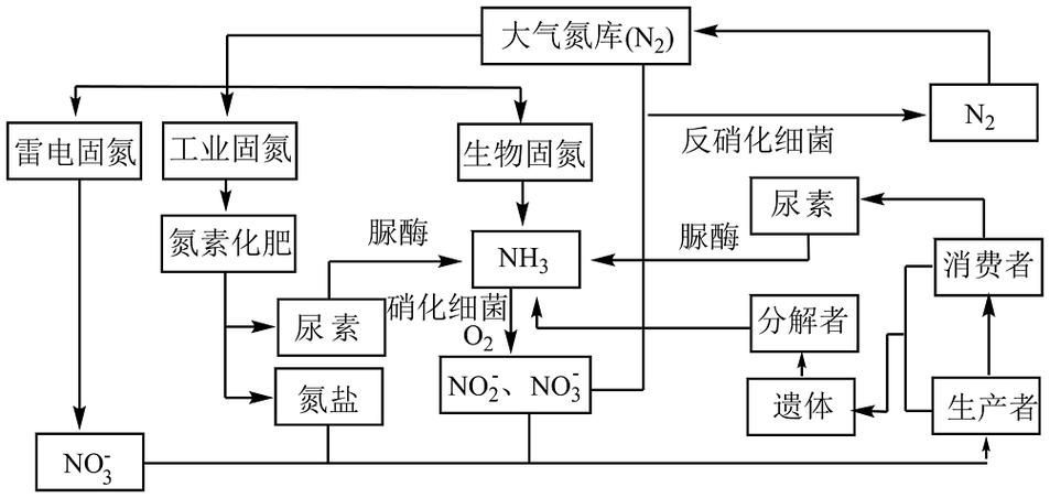 如何預防魚缸水細菌感染復發，如何預防魚缸水細菌感染 如何預防魚缸水細菌感染復發，如何預防魚缸水細菌感染 龍魚百科 第5張