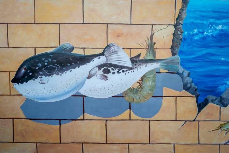 曹妃甸龍魚市場有哪些特色,曹妃甸“龍魚市場” 龍魚百科 第4張 曹妃甸龍魚市場有哪些特色,曹妃甸“龍魚市場” 曹妃甸龍魚市場有哪些特色,曹妃甸“龍魚市場” 龍魚百科 第4張