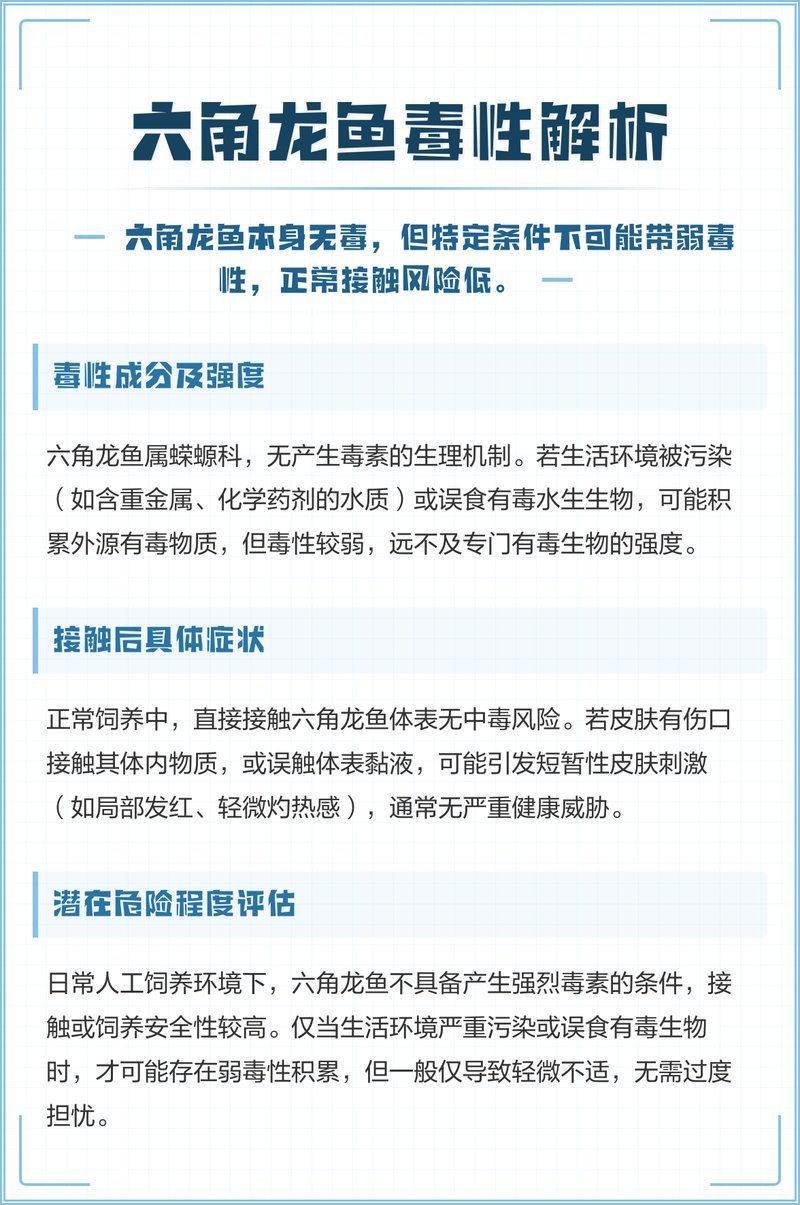 六角龍魚(yú)對(duì)哪些污染物最敏感，六角龍魚(yú)對(duì)哪些污染物最敏感調(diào)用工具arxiv論文助手 六角龍魚(yú)對(duì)哪些污染物最敏感，六角龍魚(yú)對(duì)哪些污染物最敏感調(diào)用工具arxiv論文助手 龍魚(yú)百科 第7張
