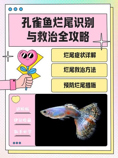 詳細閱讀:如何預防爛尾病傳染,如何預防爛尾病傳染, 如何預防爛尾病傳染,如何預防爛尾病傳染,