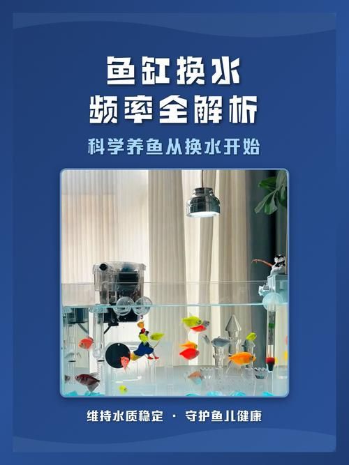 龍魚魚缸多久換一次，如何制定龍魚魚缸的換水計(jì)劃
