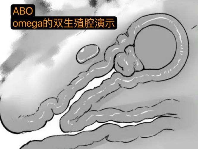 如何區分斯維尼關刀魚的雌雄？，如何區分斯維尼關刀魚（siganussutor）雌雄鑒別