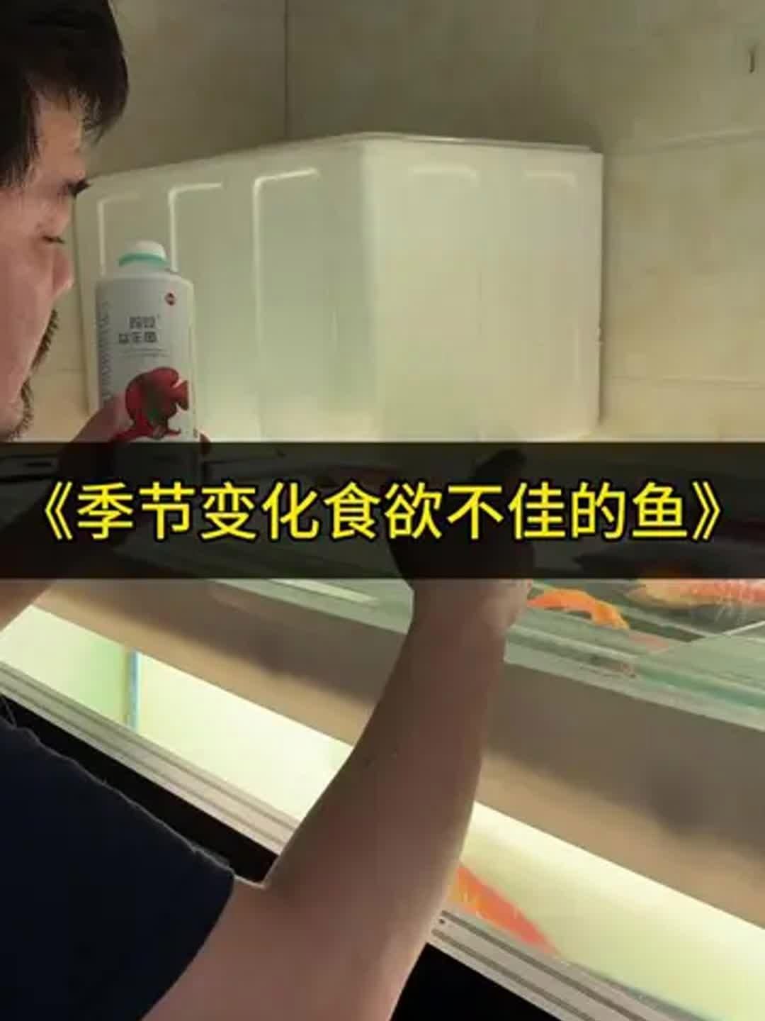 龍魚季節性拒食是正?，F象嗎？，如何判斷龍魚是否季節性拒食？