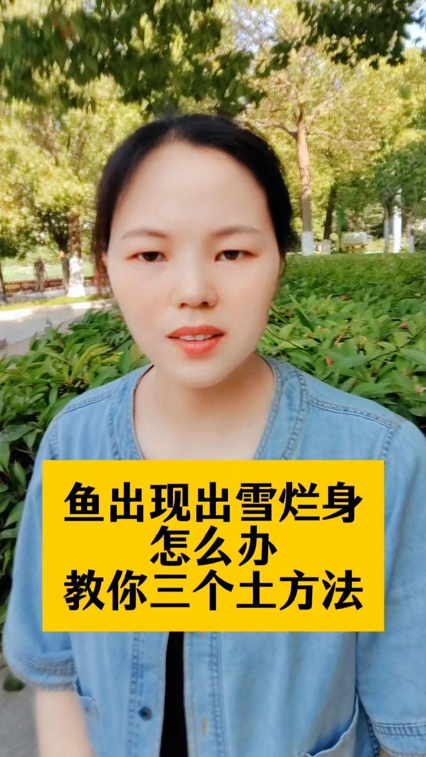 爛身病能徹底治愈嗎，爛身病能徹底治愈嗎調用工具 爛身病能徹底治愈嗎，爛身病能徹底治愈嗎調用工具 龍魚百科 第3張
