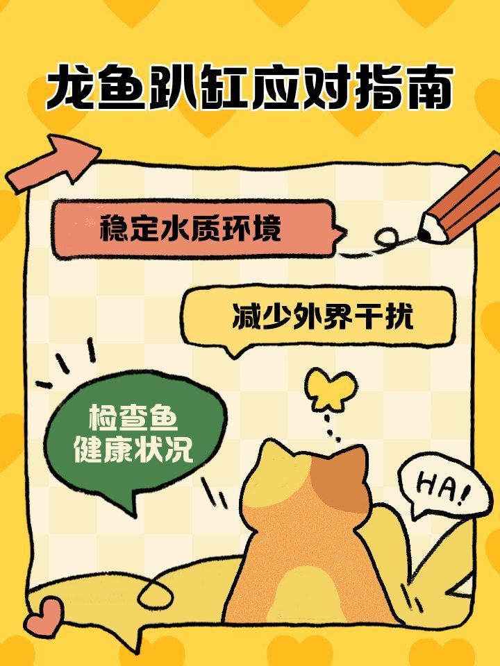 龍魚趴缸后應該如何護理？，龍魚趴缸后如何護理
