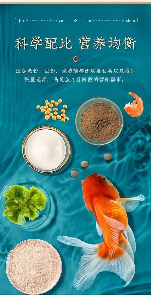 如何判斷銀龍魚飼料的質量？，如何判斷銀龍魚飼料的質量 如何判斷銀龍魚飼料的質量？，如何判斷銀龍魚飼料的質量 龍魚百科 第3張