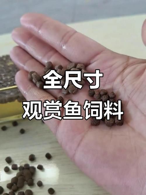如何判斷銀龍魚飼料的質量？，如何判斷銀龍魚飼料的質量 如何判斷銀龍魚飼料的質量？，如何判斷銀龍魚飼料的質量 龍魚百科 第5張