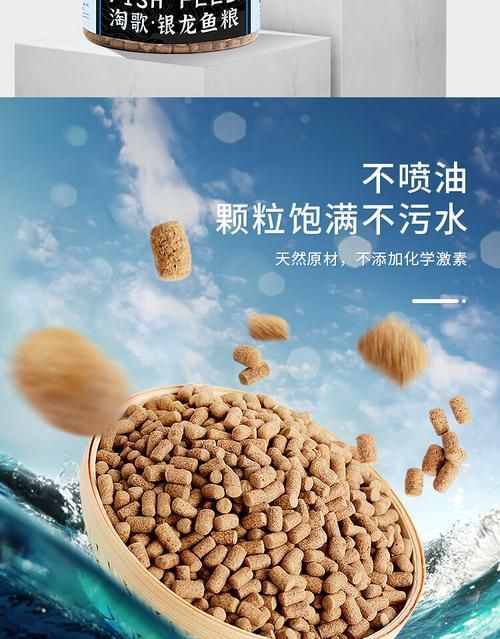 如何判斷銀龍魚飼料的質量？，如何判斷銀龍魚飼料的質量 如何判斷銀龍魚飼料的質量？，如何判斷銀龍魚飼料的質量 龍魚百科 第2張