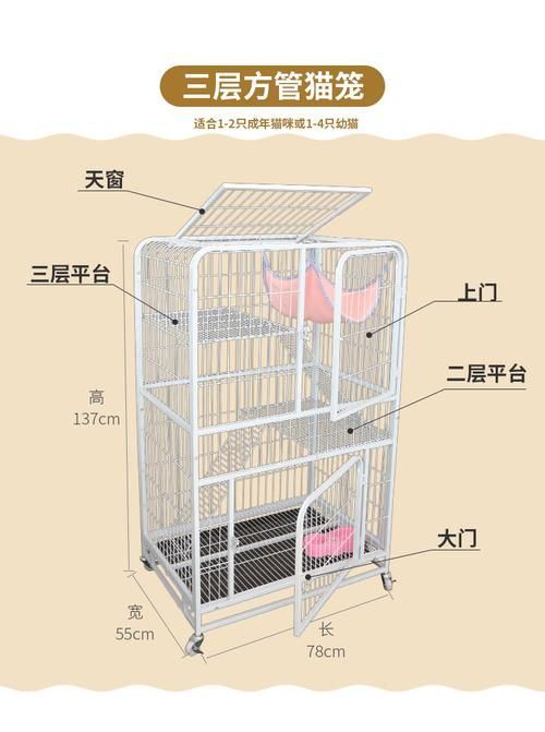 如何選擇合適的龍貓籠,如何為龍貓選擇合適的籠子 龍魚百科 第1張 如何選擇合適的龍貓籠,如何為龍貓選擇合適的籠子 如何選擇合適的龍貓籠,如何為龍貓選擇合適的籠子 龍魚百科 第1張