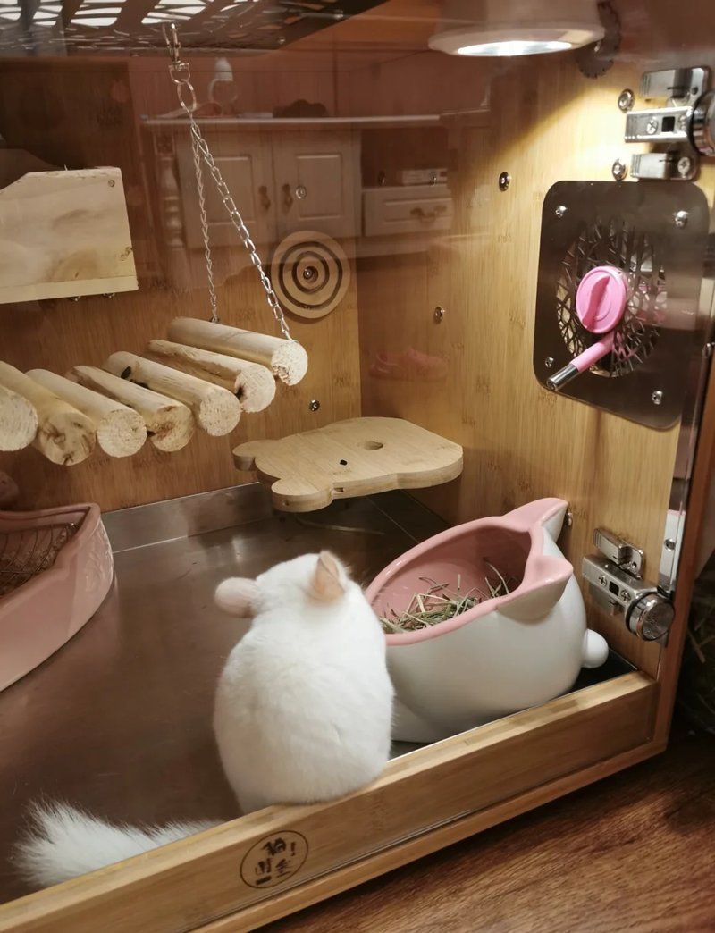 如何選擇合適的龍貓籠，如何為龍貓選擇合適的籠子 如何選擇合適的龍貓籠，如何為龍貓選擇合適的籠子 龍魚百科 第10張