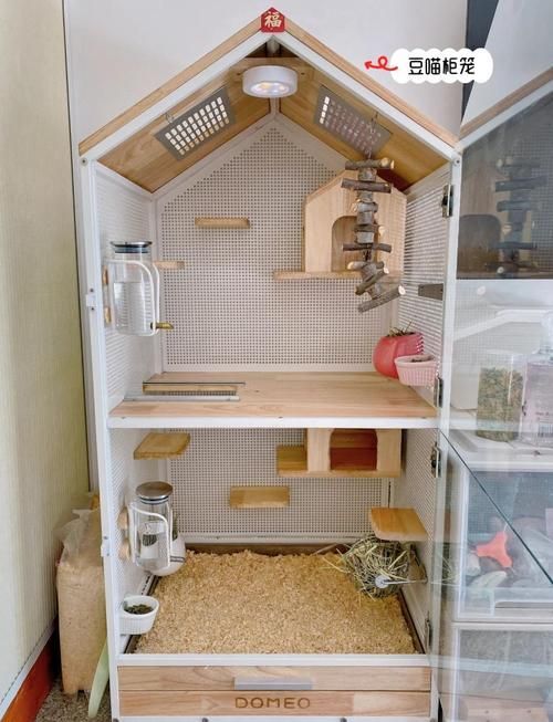 如何選擇合適的龍貓籠,如何為龍貓選擇合適的籠子 龍魚百科 第7張 如何選擇合適的龍貓籠,如何為龍貓選擇合適的籠子 如何選擇合適的龍貓籠,如何為龍貓選擇合適的籠子 龍魚百科 第7張