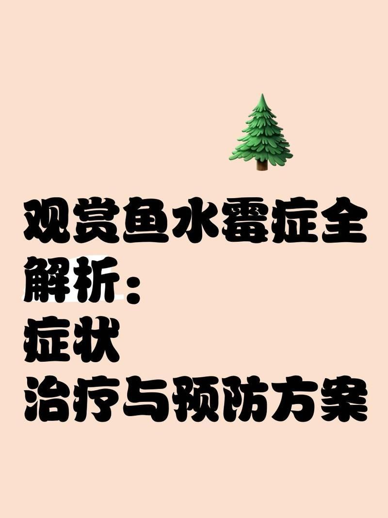 如何判斷龍魚是否患有水霉病，如何判斷龍魚是否患有水霉病，如何治療龍魚水霉病 如何判斷龍魚是否患有水霉病，如何判斷龍魚是否患有水霉病，如何治療龍魚水霉病 龍魚百科 第2張