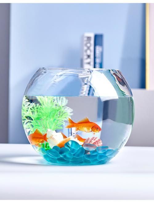 這幾款魚缸的價格范圍是多少，玻璃魚缸、亞克力魚缸、亞克力魚缸、亞克力魚缸價格范圍 這幾款魚缸的價格范圍是多少，玻璃魚缸、亞克力魚缸、亞克力魚缸、亞克力魚缸價格范圍 龍魚百科 第5張