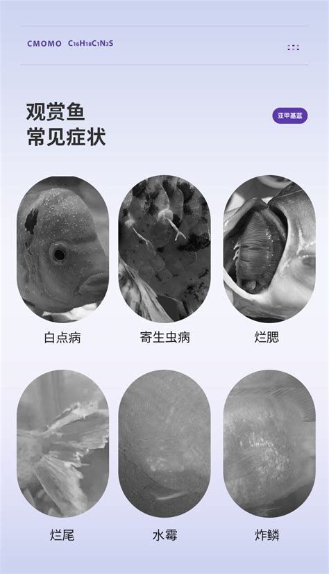 龍魚(yú)呼吸急促要警惕四種病，導(dǎo)致龍魚(yú)呼吸急促的四種主要疾病 龍魚(yú)呼吸急促要警惕四種病，導(dǎo)致龍魚(yú)呼吸急促的四種主要疾病 龍魚(yú)百科 第4張