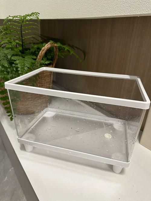 推薦一些適合放在客廳的魚缸款式,客廳魚缸款式推薦,適合放在客廳的魚缸款式推薦 龍魚百科 第6張 推薦一些適合放在客廳的魚缸款式,客廳魚缸款式推薦,適合放在客廳的魚缸款式推薦 推薦一些適合放在客廳的魚缸款式,客廳魚缸款式推薦,適合放在客廳的魚缸款式推薦 龍魚百科 第6張