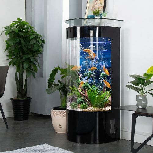 推薦一些適合放在客廳的魚缸款式,客廳魚缸款式推薦,適合放在客廳的魚缸款式推薦 龍魚百科 第10張 推薦一些適合放在客廳的魚缸款式,客廳魚缸款式推薦,適合放在客廳的魚缸款式推薦 推薦一些適合放在客廳的魚缸款式,客廳魚缸款式推薦,適合放在客廳的魚缸款式推薦 龍魚百科 第10張