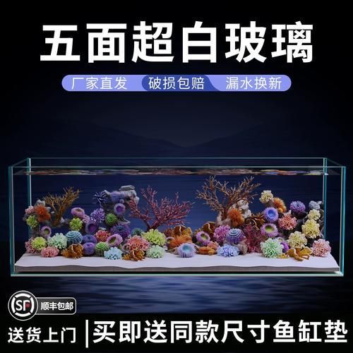 推薦一些適合放在客廳的魚缸款式,客廳魚缸款式推薦,適合放在客廳的魚缸款式推薦 龍魚百科 第4張 推薦一些適合放在客廳的魚缸款式,客廳魚缸款式推薦,適合放在客廳的魚缸款式推薦 推薦一些適合放在客廳的魚缸款式,客廳魚缸款式推薦,適合放在客廳的魚缸款式推薦 龍魚百科 第4張
