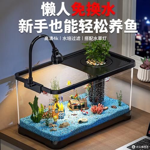 推薦一些適合放在客廳的魚缸款式,客廳魚缸款式推薦,適合放在客廳的魚缸款式推薦 龍魚百科 第8張 推薦一些適合放在客廳的魚缸款式,客廳魚缸款式推薦,適合放在客廳的魚缸款式推薦 推薦一些適合放在客廳的魚缸款式,客廳魚缸款式推薦,適合放在客廳的魚缸款式推薦 龍魚百科 第8張