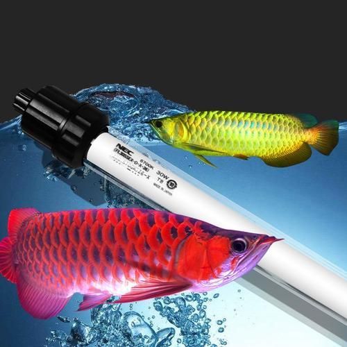 nec龍魚燈哪個型號最好