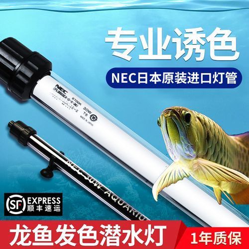 nec龍魚燈哪個型號最好