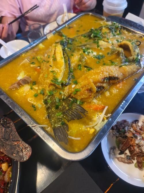如何烹飪大金龍魚使其更美味?,大金龍魚(羅非魚或羅非魚(scleropagesformosus) 龍魚百科 第11張 如何烹飪大金龍魚使其更美味?,大金龍魚(羅非魚或羅非魚(scleropagesformosus) 如何烹飪大金龍魚使其更美味?,大金龍魚(羅非魚或羅非魚(scleropagesformosus) 龍魚百科 第11張