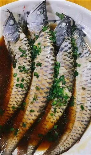 如何烹飪大金龍魚使其更美味?,大金龍魚(羅非魚或羅非魚(scleropagesformosus) 龍魚百科 第4張 如何烹飪大金龍魚使其更美味?,大金龍魚(羅非魚或羅非魚(scleropagesformosus) 如何烹飪大金龍魚使其更美味?,大金龍魚(羅非魚或羅非魚(scleropagesformosus) 龍魚百科 第4張