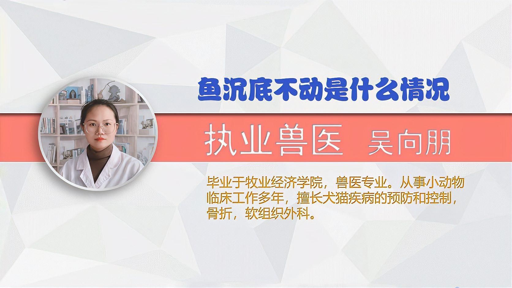 魚沉底了還有救嗎，魚沉底了還有救嗎暗示著一種情境 魚沉底了還有救嗎，魚沉底了還有救嗎暗示著一種情境 龍魚百科 第2張