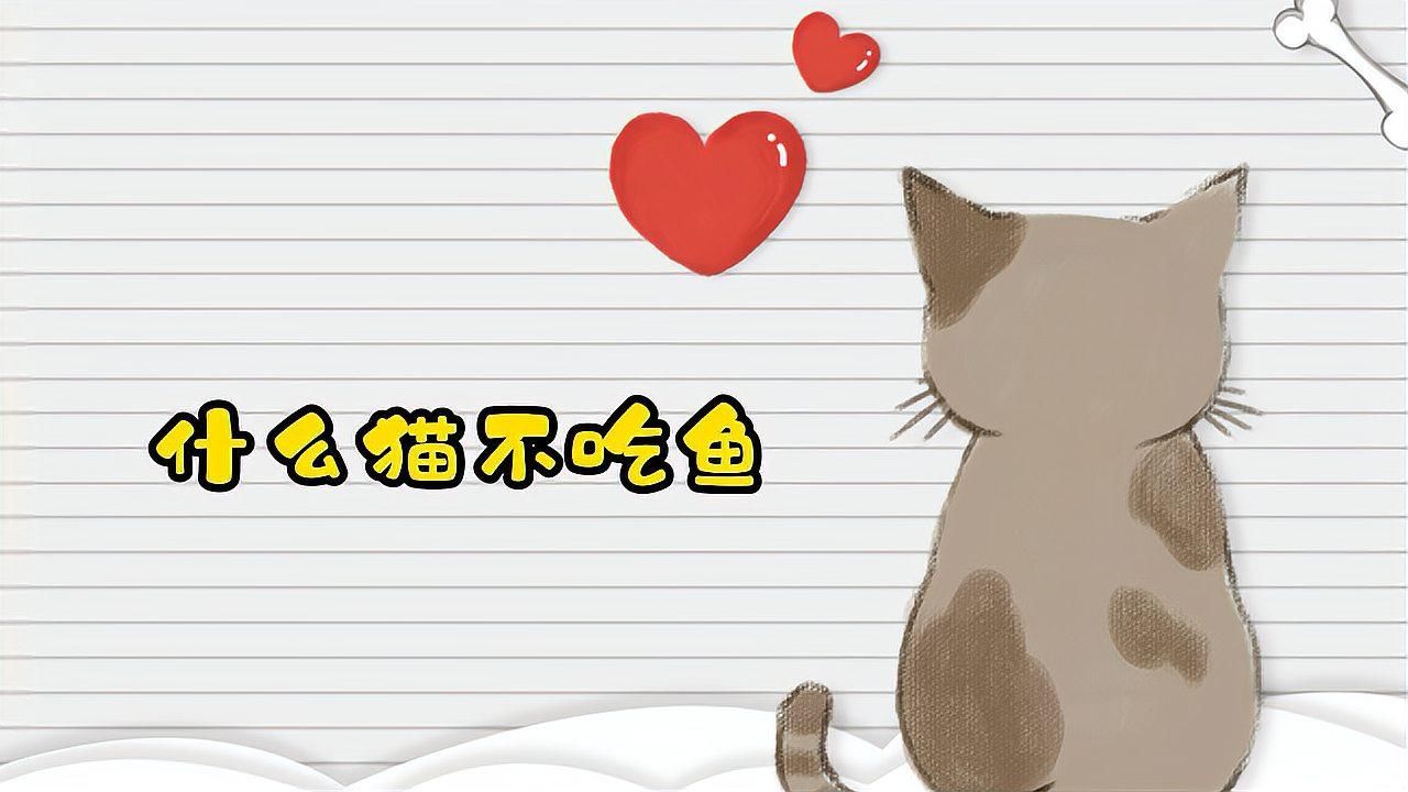 有哪些貓對魚完全不感興趣，探究貓對魚的興趣
