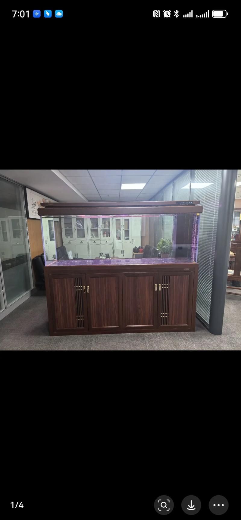 有哪些魚缸尺寸適合新手，|新手養魚必備魚缸尺寸全攻略|新手養魚必備 有哪些魚缸尺寸適合新手，|新手養魚必備魚缸尺寸全攻略|新手養魚必備 龍魚百科 第3張