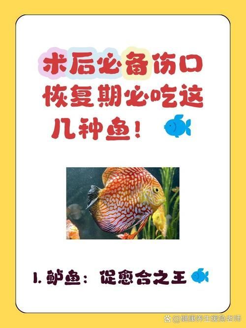 魚外傷后多久會恢復,arxiv論文助手arxiv論文arxiv論文助手 龍魚百科 第3張 魚外傷后多久會恢復,arxiv論文助手arxiv論文arxiv論文助手 魚外傷后多久會恢復,arxiv論文助手arxiv論文arxiv論文助手 龍魚百科 第3張