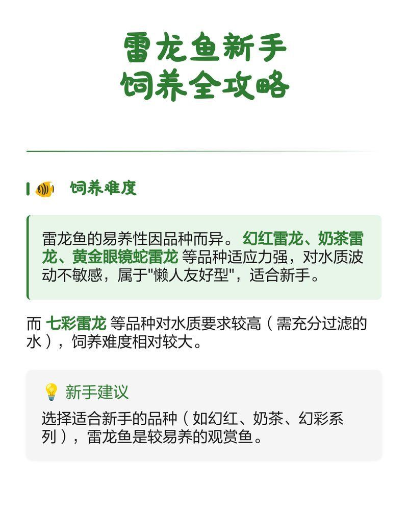 雷龍魚和黑魚哪個更適合飼養，雷龍魚和黑魚哪個更有趣？