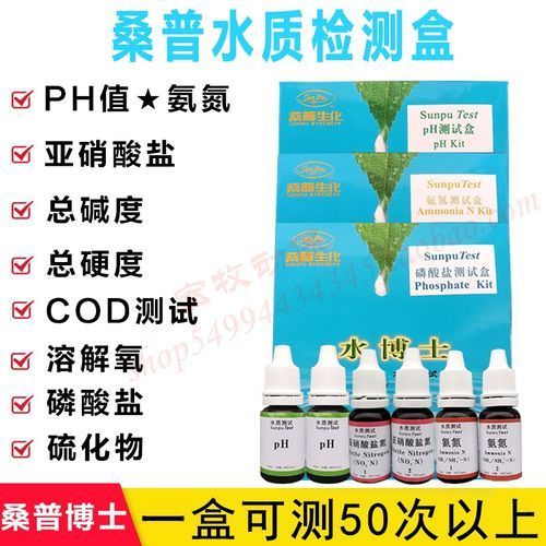 如何預(yù)防錦鯉爛尾爛鰭 如何預(yù)防錦鯉爛尾爛鰭 龍魚(yú)百科 第7張