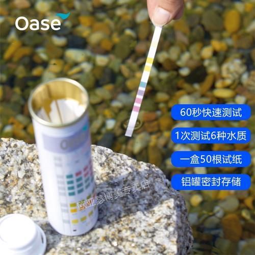 如何預(yù)防錦鯉爛尾爛鰭 如何預(yù)防錦鯉爛尾爛鰭 龍魚(yú)百科 第11張