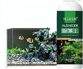 使用龍魚水質調整藥水后多久見效？ 使用龍魚水質調整藥水后多久見效？ 龍魚百科 第1張