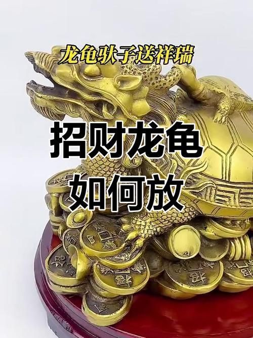 龍龜?shù)臄[放方法及禁忌，龍龜擺放方法及禁忌 龍龜?shù)臄[放方法及禁忌，龍龜擺放方法及禁忌 龍魚百科 第1張