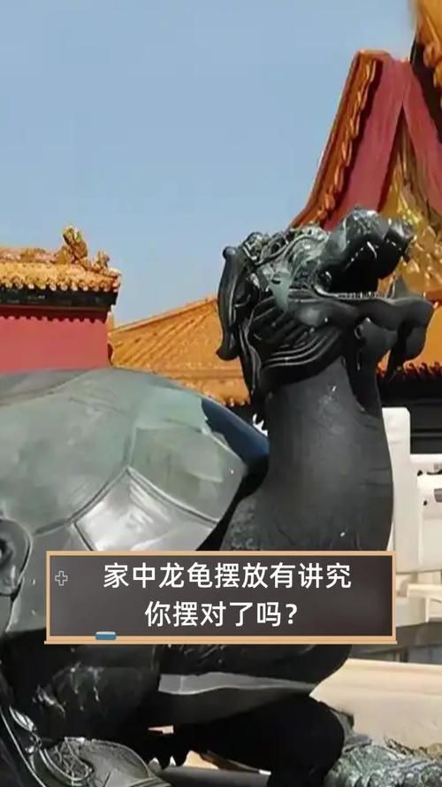 龍龜?shù)臄[放方法及禁忌，龍龜擺放方法及禁忌 龍龜?shù)臄[放方法及禁忌，龍龜擺放方法及禁忌 龍魚百科 第12張