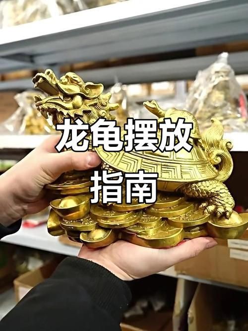 龍龜?shù)臄[放方法及禁忌，龍龜擺放方法及禁忌 龍龜?shù)臄[放方法及禁忌，龍龜擺放方法及禁忌 龍魚百科 第2張